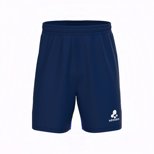 Шорты пляжные мужская +ADRENALINA Blix, Цвет основной Темносине-синий, Размер l