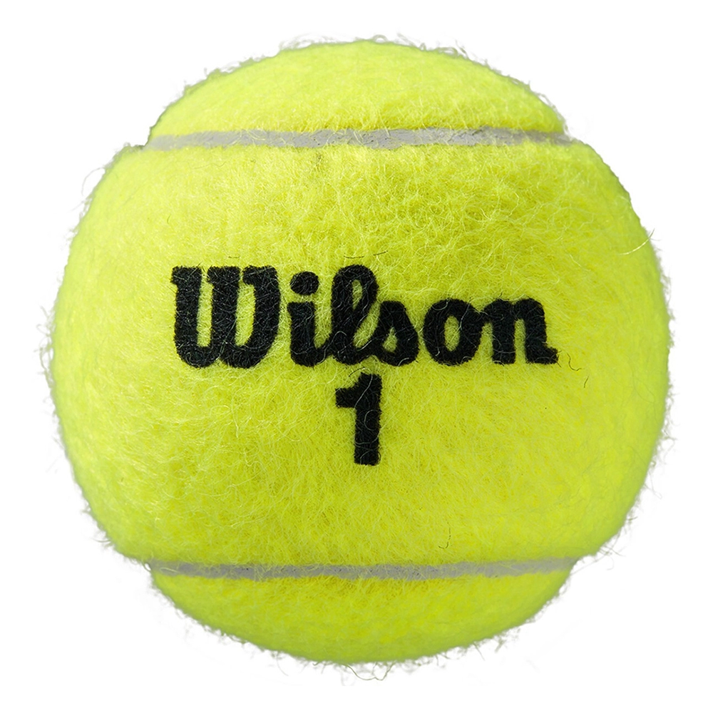Мяч теннисный WILSON Roland Garros All Court, WRT116400, одобрено ITF, упаковка 4 штуки
